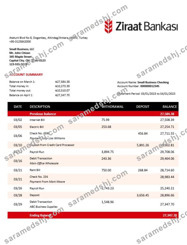 Ziraat Bankasi business checking account statement Word and PDF template